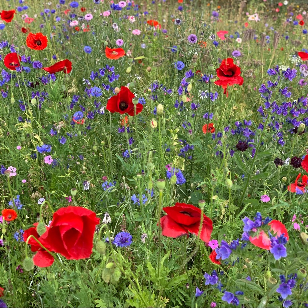 Welcome to creative closet!